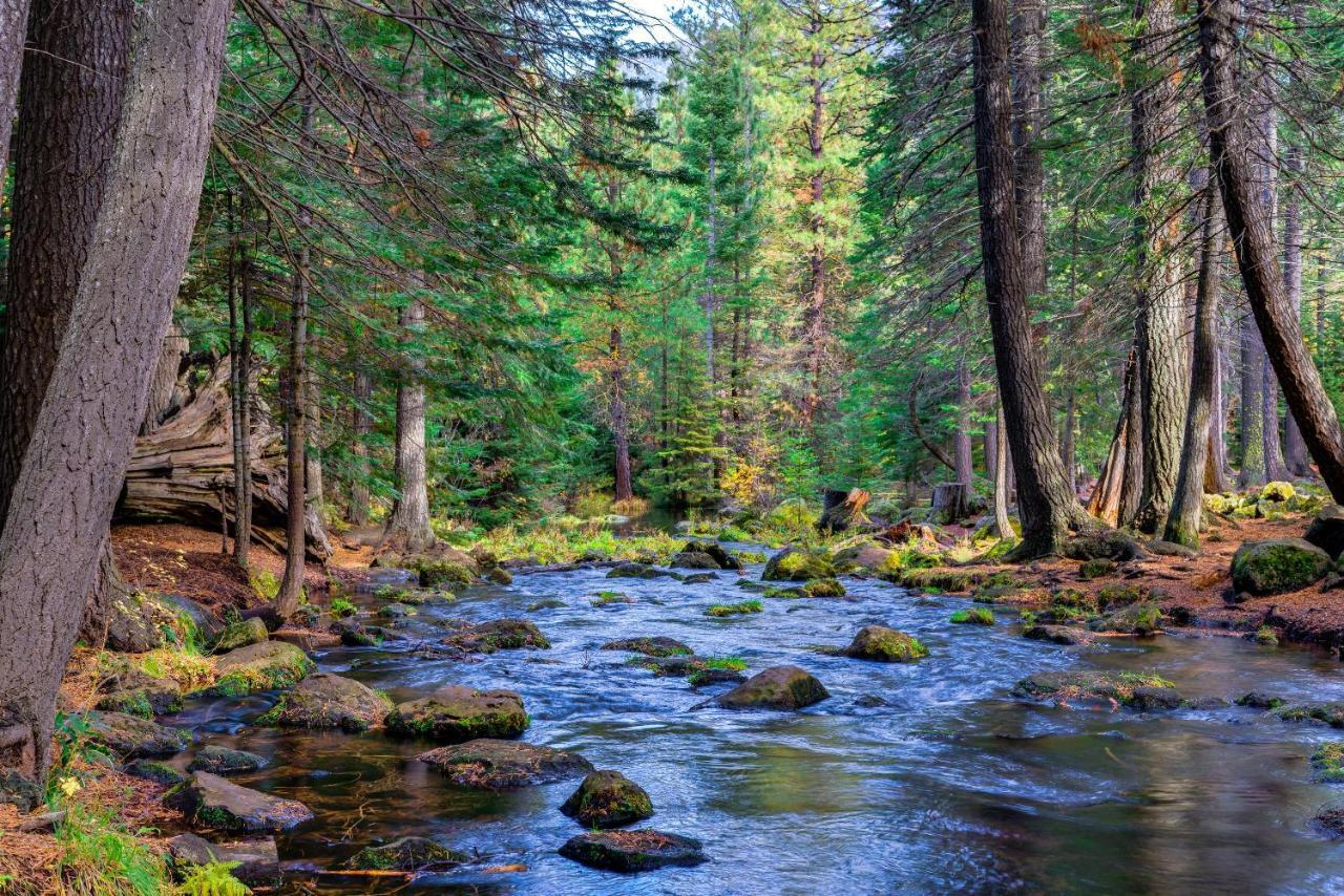 Black Butte Ranch: Partridge Foot Cabin Lot #Rr83 Villa Систърс Екстериор снимка